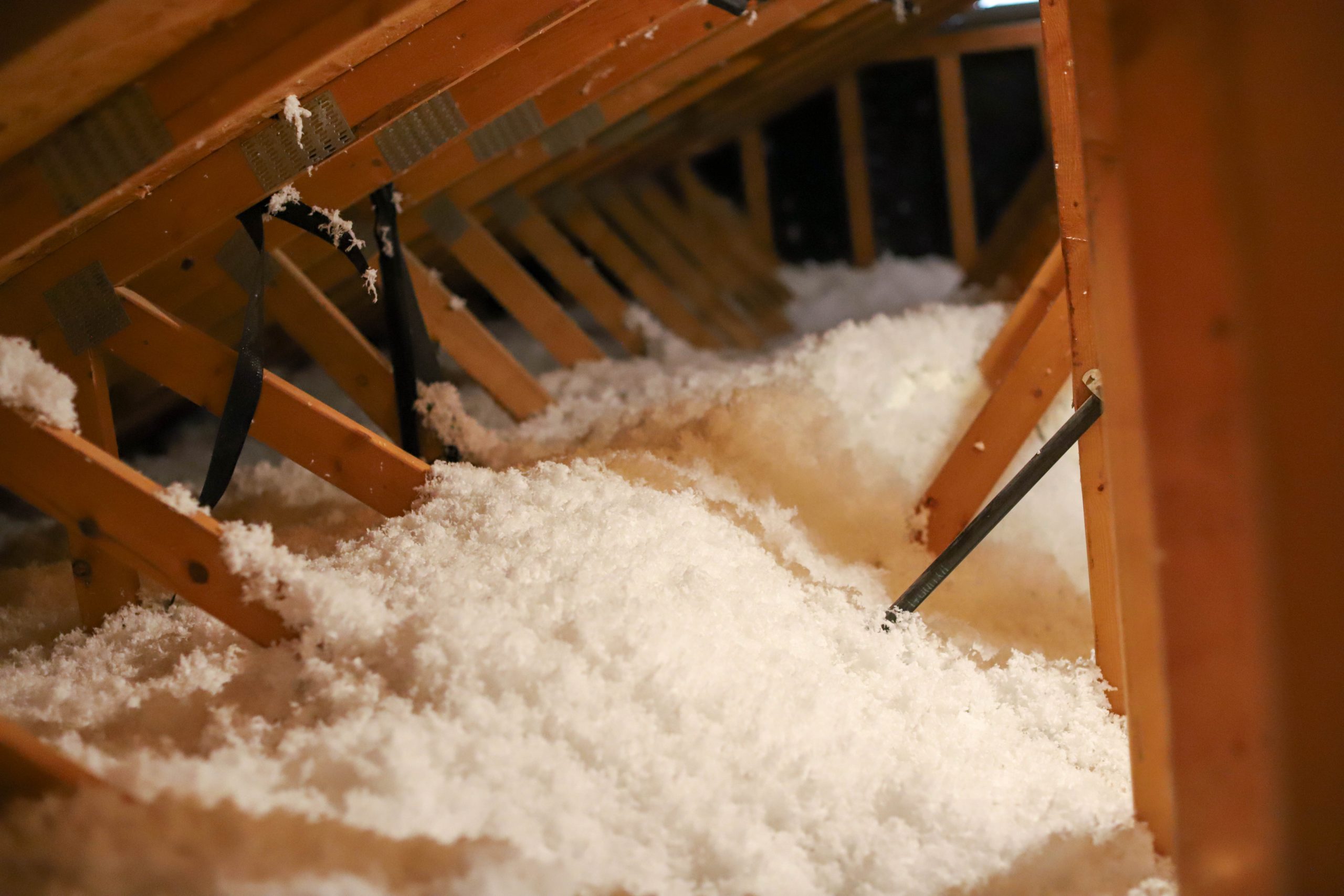 Trillas-Household-34-of-37-scaled